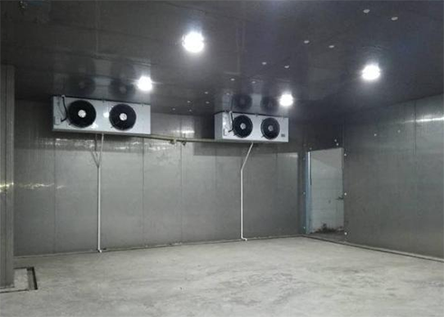 土豆保鲜黄瓜视频污下载建造