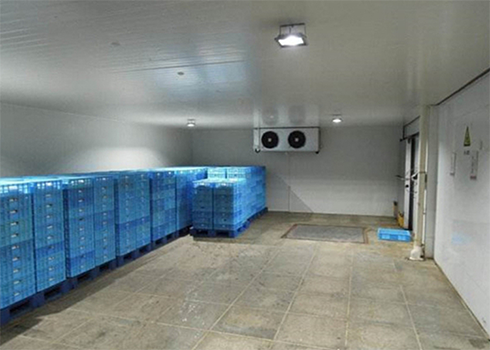 保鲜黄瓜视频污下载建造公司