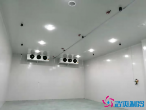 紫红薯保鲜黄瓜视频污下载安装