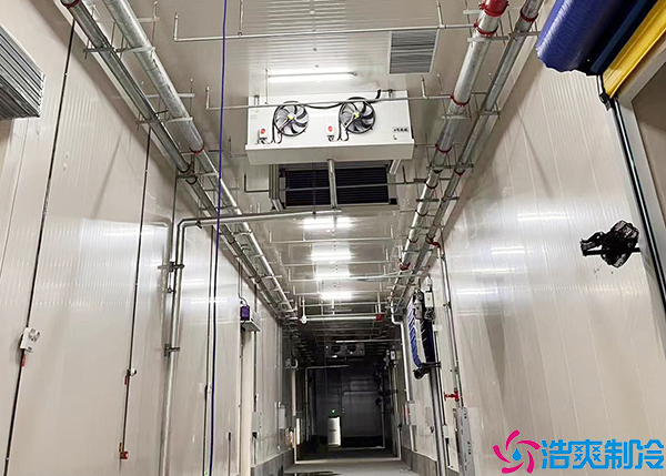 气调黄瓜视频污下载