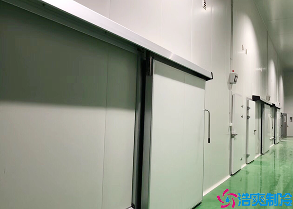 水果类黄瓜视频污下载