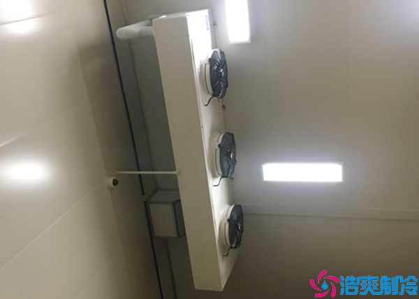 微型气调保鲜黄瓜视频污下载