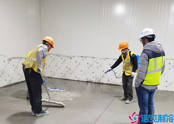 低温黄瓜视频污下载