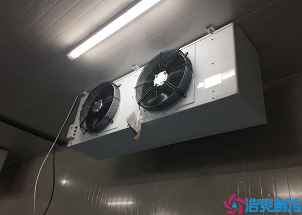 微型气调保鲜黄瓜视频污下载