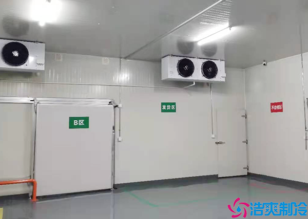 蔬菜保鲜黄瓜视频污下载