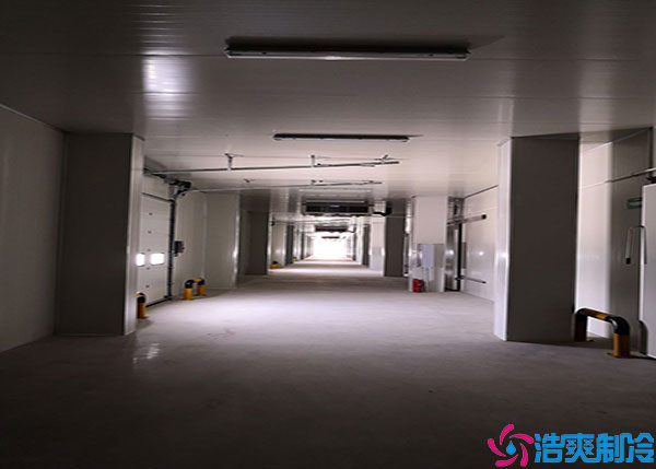 宁波大型黄瓜视频污下载建造供应商.jpg