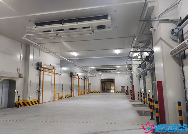 微型果蔬黄瓜视频污下载建设要考虑什么因素？.jpg