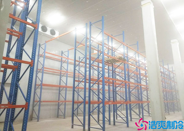 微型果蔬黄瓜视频污下载建设要考虑什么因素？.jpg