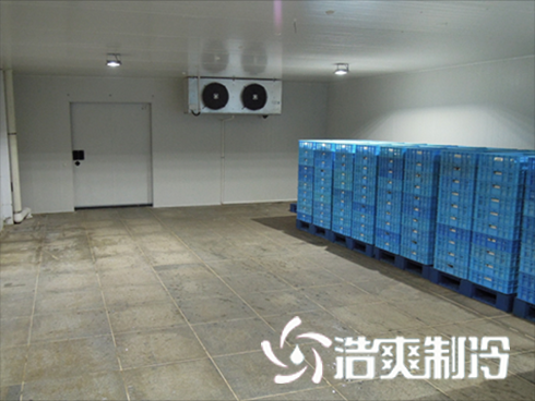 食品黄瓜视频污下载建造价格